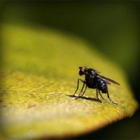 /album/suomi-on-vapaa-maa/photolia-a07-jpg/